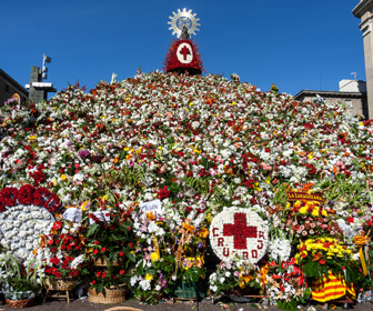 imagen Fiestas del pilar 2016
