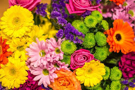 imagen Eventos en Zaragoz