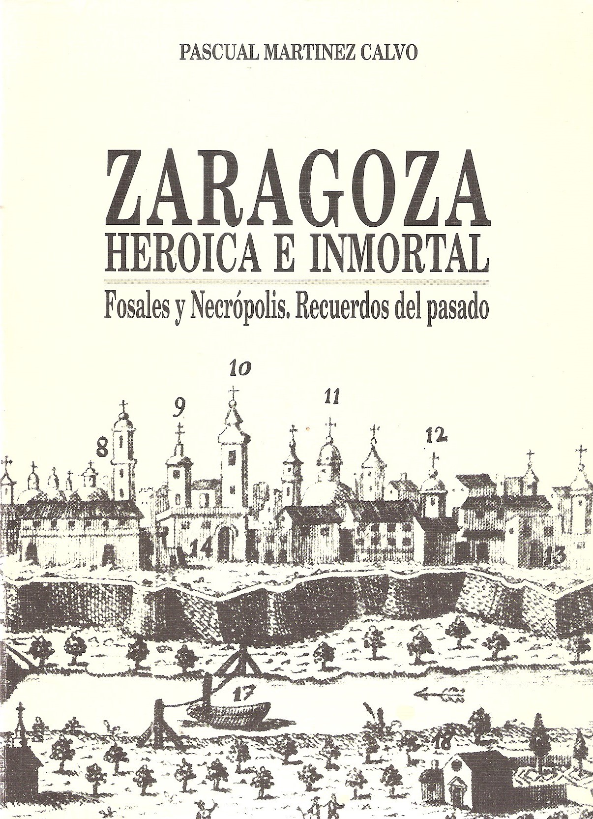 imagen Zaragoza histórica inmortal